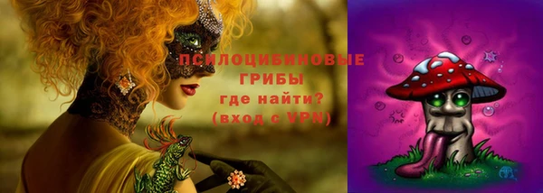 прущие крисы Богородицк