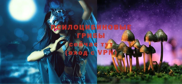 первитин Белокуриха